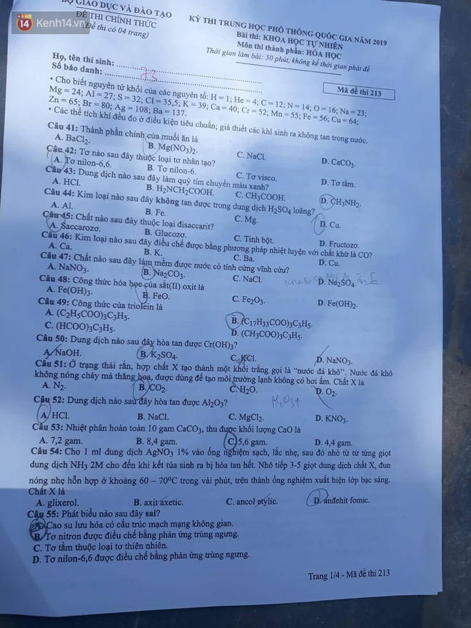 Đề thi môn Hóa học THPT quốc gia 2019 - Ảnh 1.