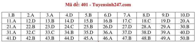 Đáp án thi môn Tiếng Anh THPT quốc gia 2019 (tất cả mã đề) - Ảnh 1.