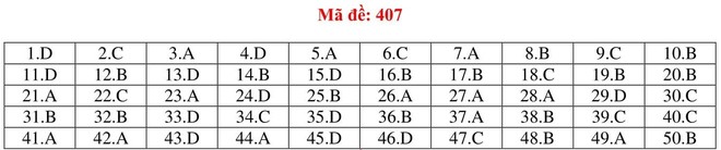 Đáp án thi môn Tiếng Anh THPT quốc gia 2019 (tất cả mã đề) - Ảnh 7.