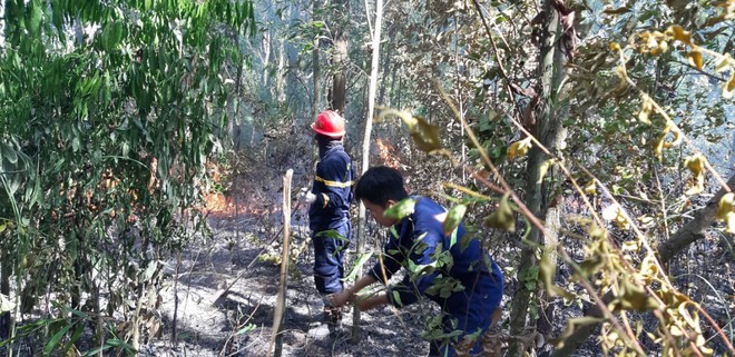 Cháy rừng hơn 8 tiếng ở Đà Nẵng, hàng trăm người được huy động để dập lửa - Ảnh 3.