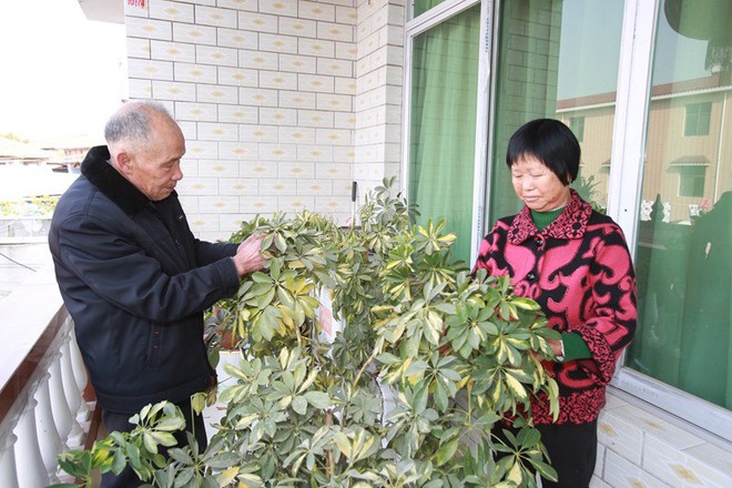 Gia đình đẹp nhất Trung Quốc: Tứ đại đồng đường sống cùng mái nhà và quan niệm chỉ cần cho đi không cần báo đáp thì sẽ hạnh phúc - Ảnh 2.