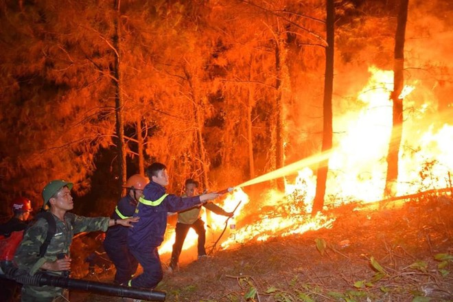 Đối tượng gây ra vụ cháy rừng nghiêm trọng ở Hà Tĩnh khai gì tại cơ quan điều tra? - Ảnh 1.