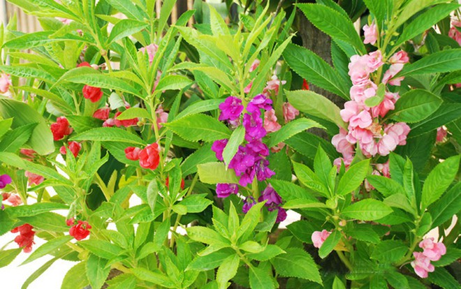 Hòn Móng Tay ở Kiên Giang thay đổi chóng mặt sau vài năm, du khách tiếc nuối tự hỏi: “Ốc đảo Robinson” nay còn đâu? - Ảnh 13.