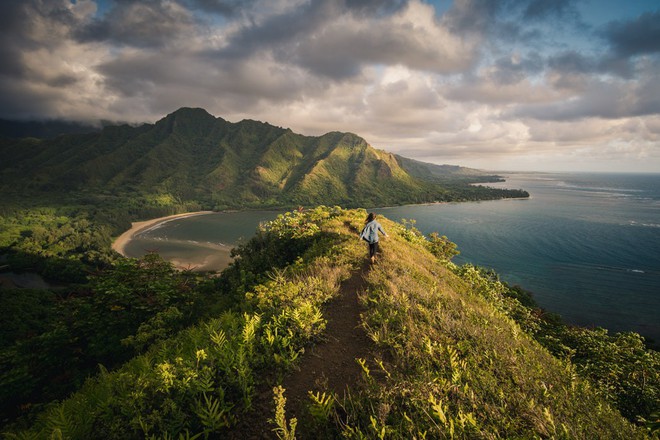Du khách “ngã ngửa” toàn tập khi đến “thiên đường biển” Hawaii vì tất cả những hình ảnh hiền hoà, thư giãn từng thấy trên mạng giờ chỉ còn là mộng tưởng - Ảnh 2.
