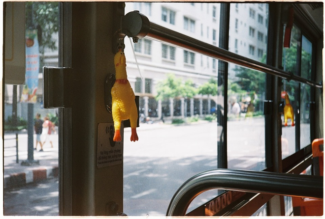 Binh đoàn gà treo lủng lẳng và niềm vui nhỏ của những vị khách trên tuyến buýt Sài Gòn: Bóp bụng gà thay chuông, không bóp không cho xuống! - Ảnh 1.
