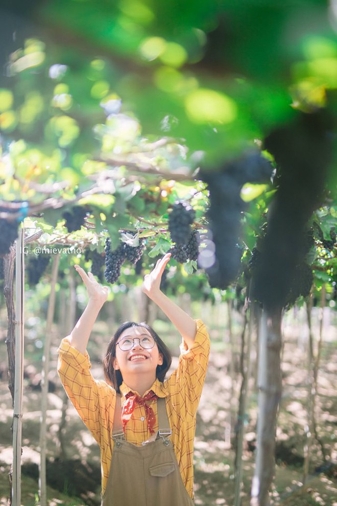 Bộ ảnh du lịch Ninh Thuận của cặp đ&#244;i đến từ H&#224; Nội khiến d&#226;n t&#236;nh th&#237;ch th&#250;: Mới nh&#236;n th&#244;i đ&#227; thấy chill phết! - Ảnh 9.