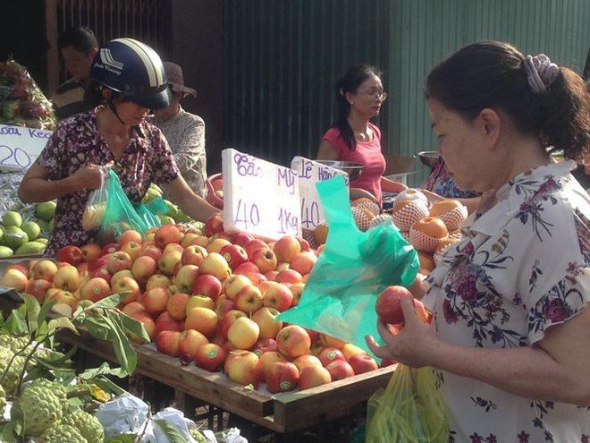 T&aacute;o Mỹ 40.000 đồng/kg ngập chợ S&agrave;i G&ograve;n - Ảnh 7.