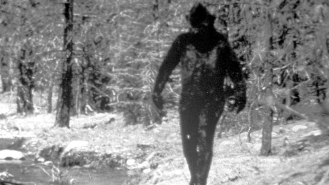 Người đàn ông gửi lông Bigfoot cho FBI đòi phân tích, 40 năm sau mới nhận được đáp án lúc gần đất xa trời - Ảnh 3.