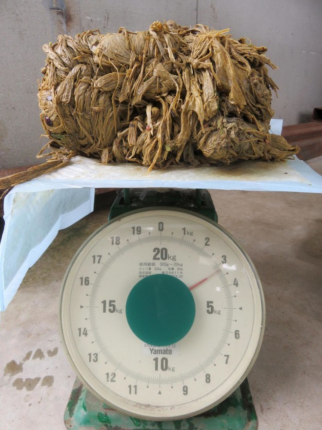 Những chú nai Nara nổi tiếng ở Nhật Bản chết trong đau đớn với 4,3kg rác thải nhựa trong bụng - Ảnh 2.