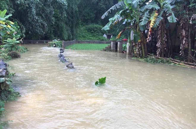 Mưa lớn ở Cao Bằng gây ngập hơn 900 ngôi nhà, 1.000 ha lúa và hoa màu - Ảnh 1.