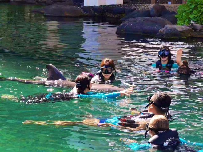 Xem loạt hình nghỉ dưỡng ở Hawaii của BLACKPINK xong, các fan chỉ thấy “chua xót” vì… thua cả một chú cá heo - Ảnh 10.