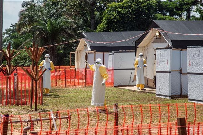 WHO tuyên bố dịch Ebola là vấn đề y tế khẩn cấp toàn cầu - Ảnh 1.