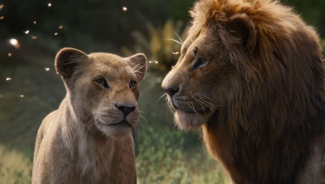 Bạn có biết Disney đốt 6 ngàn tỉ đổi lấy bầy thú hoang đẹp siêu thực trong The Lion King? - Ảnh 6.