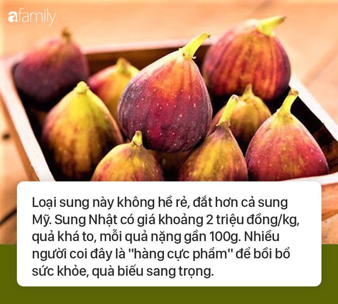 Sung đỏ lựng giá 2 triệu đồng/kg tốt thế nào mà khiến nhiều người muốn ăn đến vậy? - Ảnh 1.