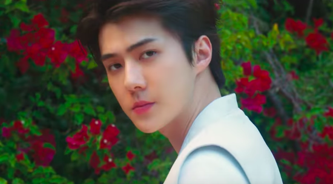 Cùng bộ đôi chân dài nhà EXO quẩy tung mùa hè cực sang - xịn - mịn tại LA trong MV mới nhất! - Ảnh 3.