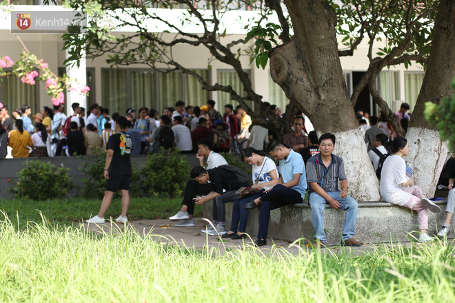 Đại học Ngoại thương hay Kinh tế Quốc dân có tỷ lệ sinh viên có việc làm cao hơn? - Ảnh 5.