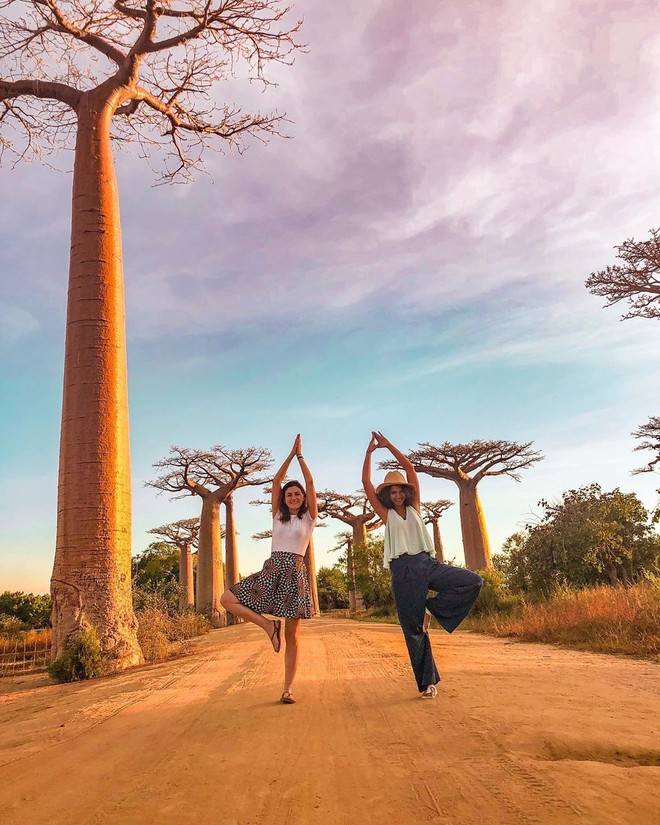 Dính phải lời nguyền phải mọc ngược, rừng cây ở Madagascar nay lại trở thành điểm check-in xịn xò của giới blogger du lịch - Ảnh 12.