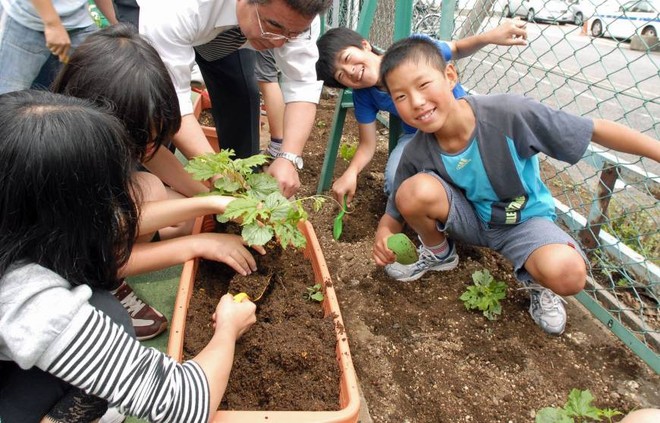 Những điều khiến trẻ em Nhật Bản có sức khỏe tốt nhất thế giới, người lớn cũng nên học tập - Ảnh 4.