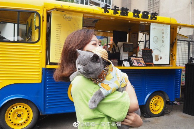 Going to the street to exercise to lose weight like sisters, the 2-year-old cat was suddenly welcomed by young and old, just like a famous star - Photo 5.