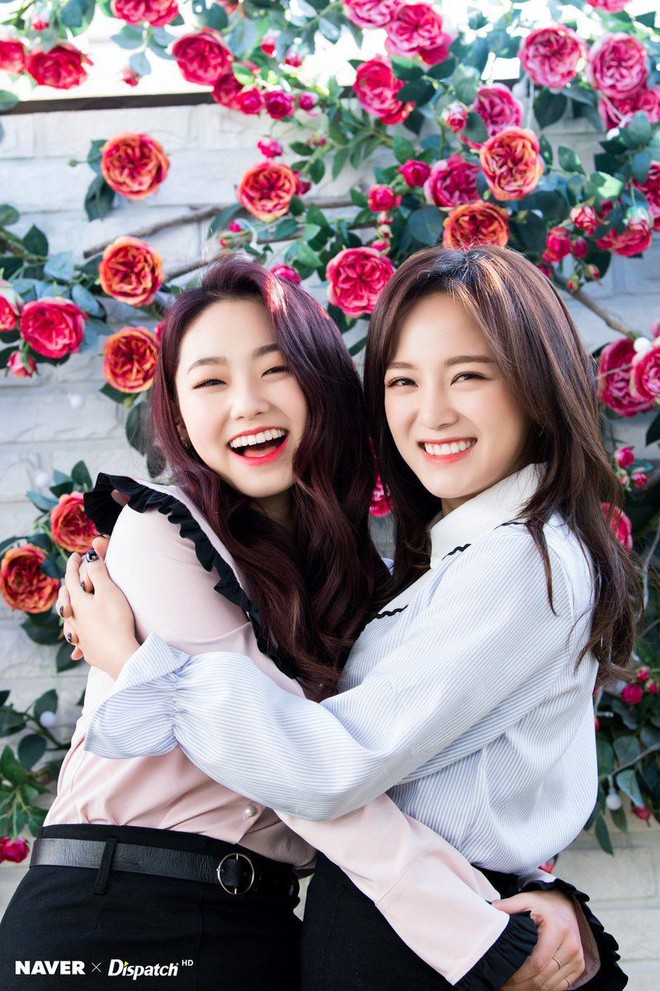 Sau 4 m&ugrave;a Produce 101, đ&acirc;u l&agrave; c&ocirc;ng ty c&oacute; nhiều g&agrave; được debut nhất? - Ảnh 8.