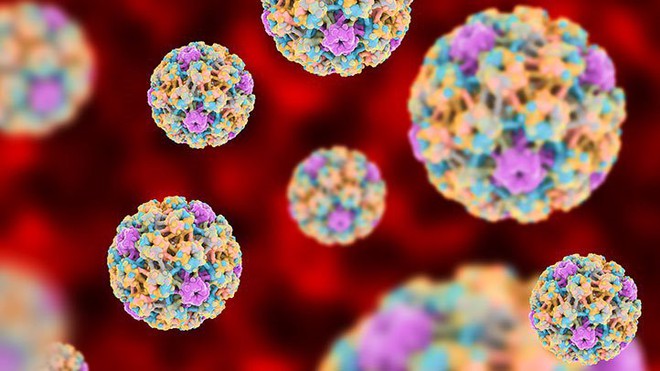 HPV - Virus lây qua đường tình dục phổ biến nhất hiện nay nhưng không phải ai cũng biết rõ về nó - Ảnh 1.