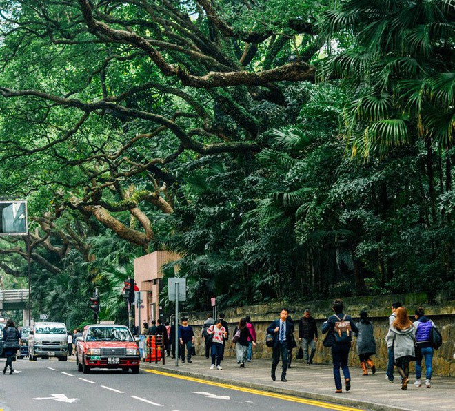 Bất ngờ chưa? Ở Hong Kong có 3 con đường mang tên Hà Nội, Sài Gòn và Hải Phòng này! - Ảnh 10.