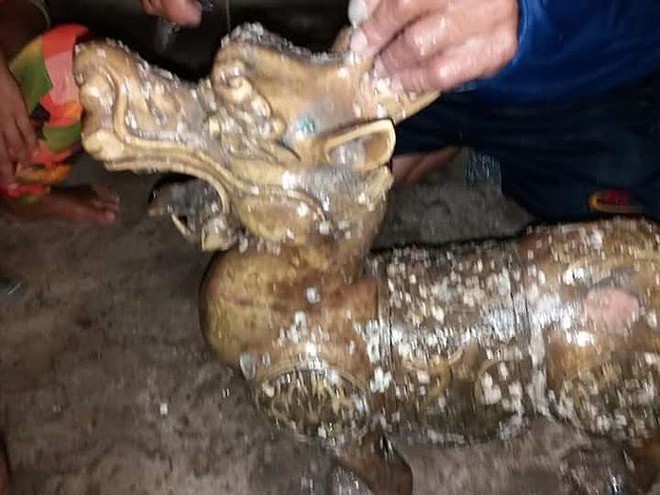 Mang qu&aacute;i th&uacute; 2 đầu ở biển C&agrave; Mau đi gi&aacute;m định tại... tiệm v&agrave;ng - Ảnh 1.