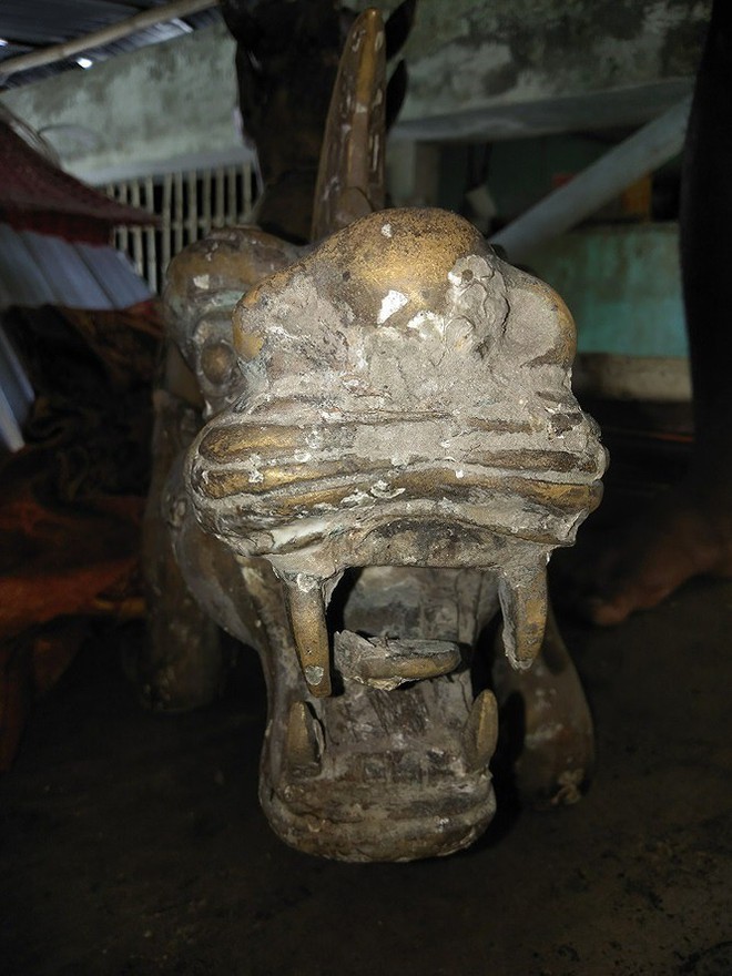 Mang qu&aacute;i th&uacute; 2 đầu ở biển C&agrave; Mau đi gi&aacute;m định tại... tiệm v&agrave;ng - Ảnh 2.