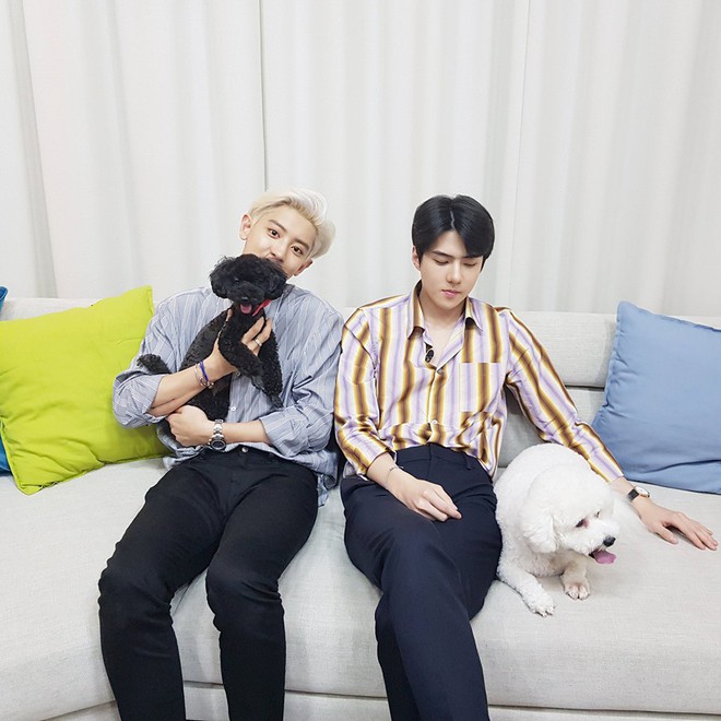 Phá kỉ lục các nhóm nhỏ thuộc Super Junior và GOT7 năm 2019 nhưng EXO-SC vẫn thua đau Baekhyun - Ảnh 4.