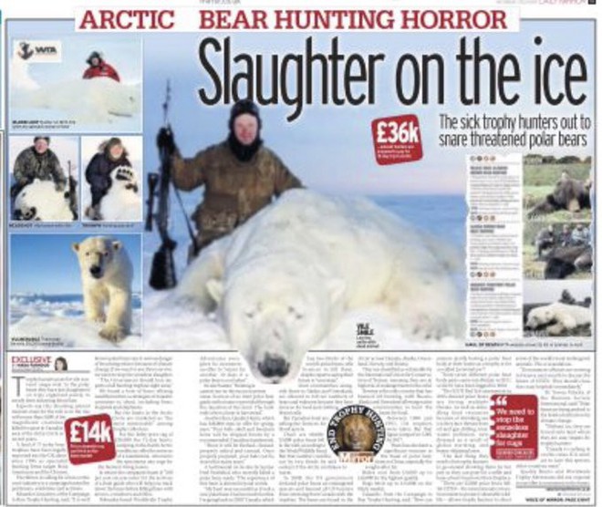 Vạch trần các tour săn bắn 5.000 con gấu Bắc Cực: Huy chương đẫm máu của giới thợ săn giàu có khiến cả thế giới căm phẫn - Ảnh 5.