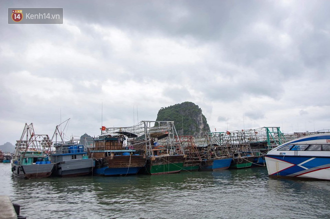 Bão số 2: Sóng biển dâng cao ở Hải Phòng, Quảng Ninh khẩn trương sơ tán người dân lên bờ - Ảnh 22.