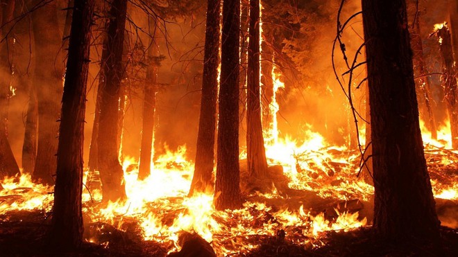 Cháy rừng lan rộng tại Siberia và vùng Viễn Đông của Nga - Ảnh 1.