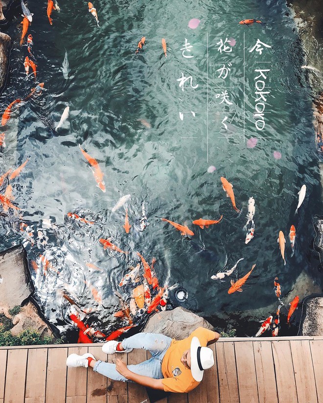 Lên Đà Lạt làm bạn với cá Koi, Kỳ Duyên và Minh Triệu khiến fan “ngất lịm” trước quán cafe style Nhật cực hot này! - Ảnh 14.