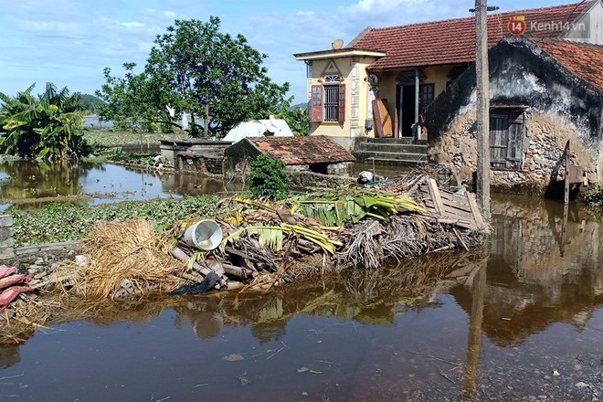 Nghệ An sau b&atilde;o số 2: Người d&acirc;n đau đ&aacute;u nỗi lo k&ecirc;nh vỡ, gần 1.000 ha l&uacute;a, hoa m&agrave;u c&oacute; nguy cơ mất trắng - Ảnh 3.