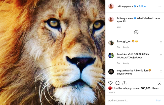 Instagram ng&atilde; c&acirc;y nhất Hollywood gọi t&ecirc;n Britney Spears: Cute hột me cho đến b&oacute;p bụng m&eacute;o cả tủ, đ&oacute; l&agrave; style của chị - Ảnh 7.