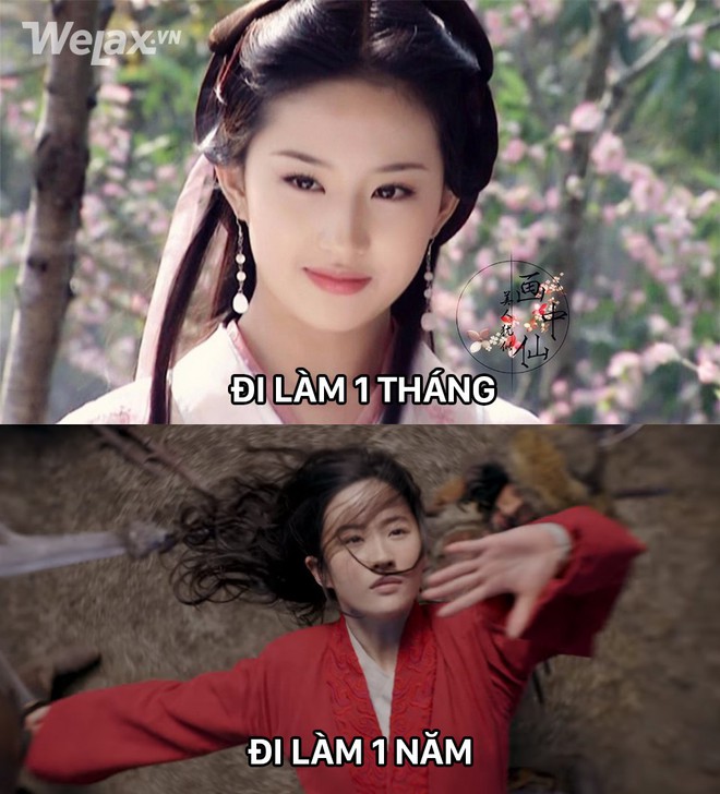 Đơ y chang biểu cảm cô Tấm ngã cây của Hạ Vi đã đành, Lưu Diệc Phi trong Mulan còn tặng khán giả nhiều meme hơn thế - Ảnh 6.