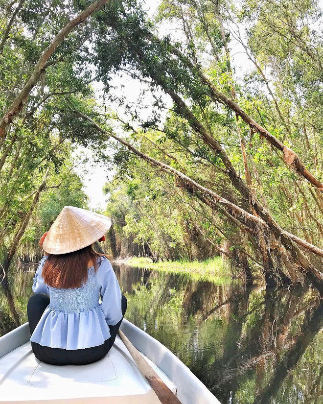 Lên hình siêu ảo 4 khu rừng tràm nổi đình đám ở miền Tây, liệu ngoài đời có đẹp như trên ảnh? - Ảnh 22.