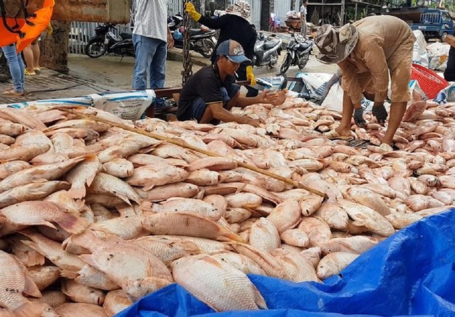 Đồng Nai: Mưa lũ làm 2 người chết, thiệt hại hàng trăm tỉ đồng - Ảnh 3.