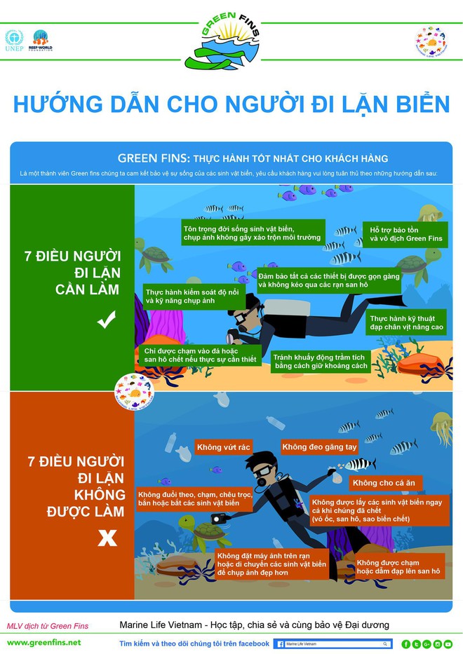 Tổ chức Sinh vật biển Việt Nam nói về việc đặt bê tông lên rạn san hô trong Cuộc đua kỳ thú và những quy tắc mà người lặn phải nhớ - Ảnh 4.
