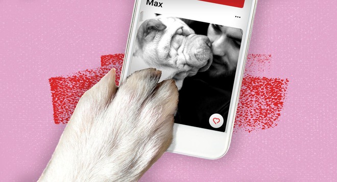 Nghiên cứu cho thấy: Hơn 25% đàn ông để avatar có chó thường hay thả thính thiu - Ảnh 3.