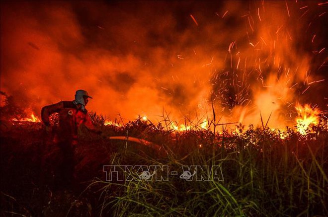 Cháy rừng trên diện rộng gây thiệt hại lớn tại Brazil - Ảnh 1.