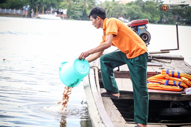 Ảnh: Bất lực vì cá phóng sinh bị vớt ngay khi vừa thả xuống sông Sài Gòn ngày Vu Lan - Ảnh 15.