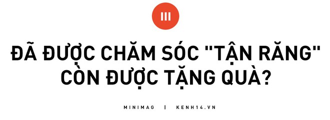 Chuyện nhà Trang Lou - Tùng Sơn vi vu Đà Nẵng: Xoài làm hướng dẫn viên, anh bố chị mẹ hóa trang thành siêu nhân đi máy bay? - Ảnh 12.