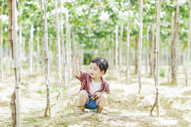 Phát cuồng vì bộ ảnh du lịch gia đình cực đáng yêu, dân mạng đua nhau đòi kết hôn và có con ngay lập tức - Ảnh 8.