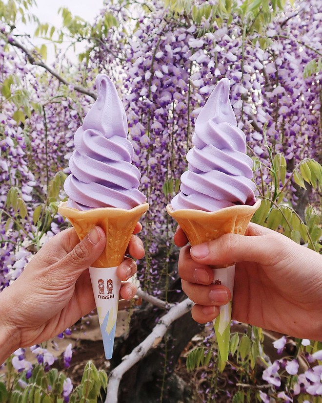 Đến cả người Ý chắc cũng chưa ăn kem nhiều như người Nhật, mỗi điểm du lịch là một loại kem câu khách thế này - Ảnh 6.