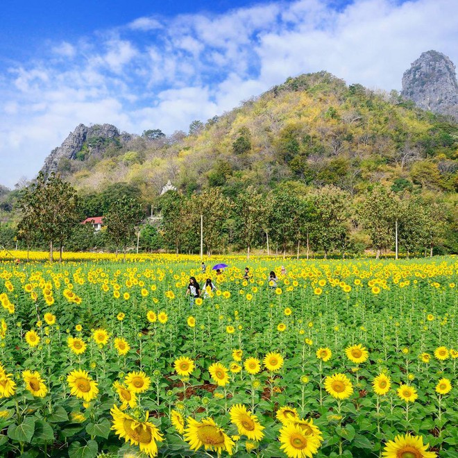 Ơn giời, cẩm nang du lịch Thái Lan theo mọi mùa trong năm đây rồi: Tháng nào đi nơi nấy, khỏi lo mất vui! - Ảnh 20.