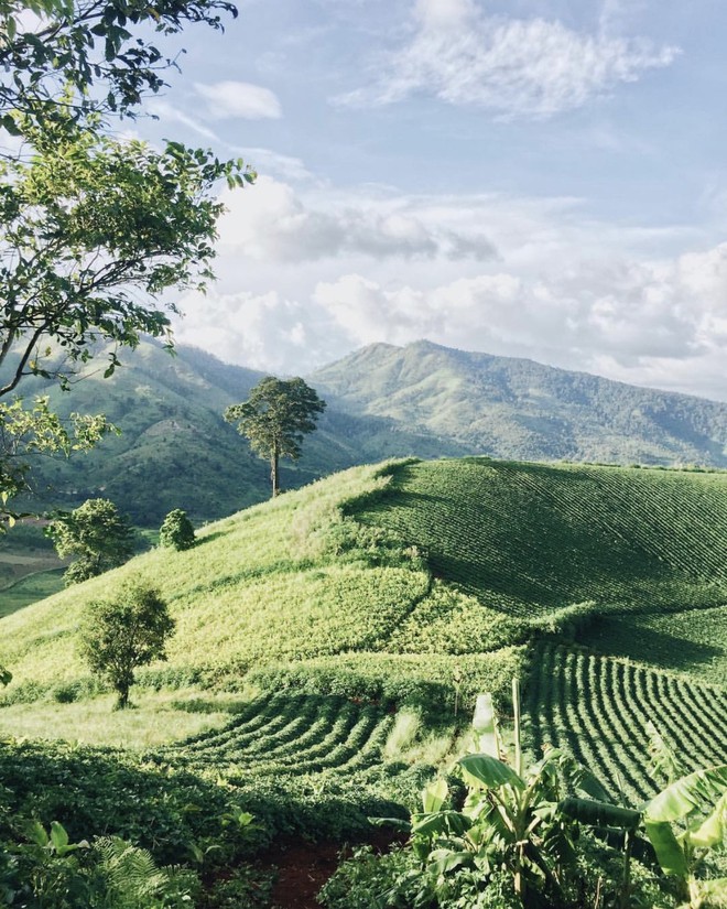 Trọn bộ cẩm nang du hí đồ sộ ở khu vực Tây Nguyên dành cho giới trẻ, lưu lại ngay để dành cho dịp 2/9 nhé! - Ảnh 1.