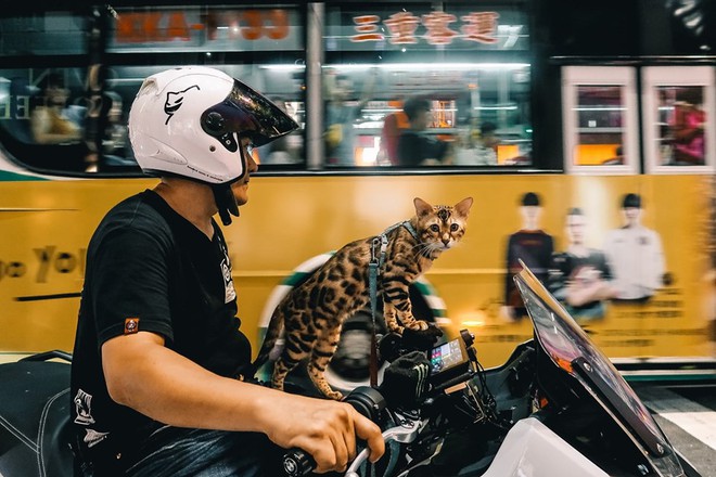 Travel blogger điển trai tiết lộ 2 l&yacute; do kh&ocirc;ng n&ecirc;n du lịch Đ&agrave;i Loan, v&igrave; đi rồi sẽ &ldquo;nghiện&rdquo; chẳng muốn về nữa! - Ảnh 13.