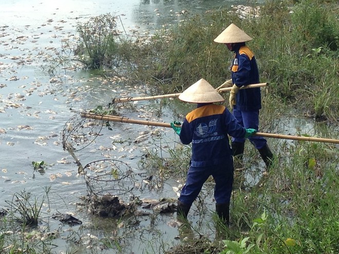 Hà Nội: Công viên Yên Sở bốc mùi nồng nặc do cá chết hàng loạt - Ảnh 5.