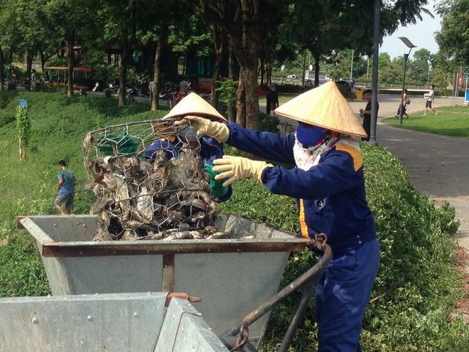 Nguyên nhân dẫn đến việc cá chết hàng loạt tại công viên Yên Sở - Ảnh 4.